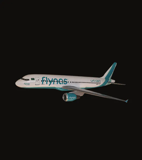 Airbus A320 CEO Logo Baskılı Uçak Maketi