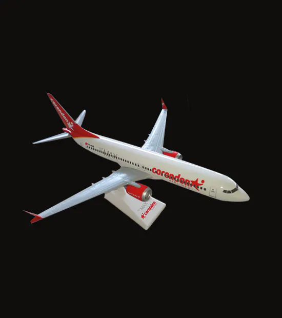 Boeing 737 MAX 8 Logo Baskılı Uçak Maketi