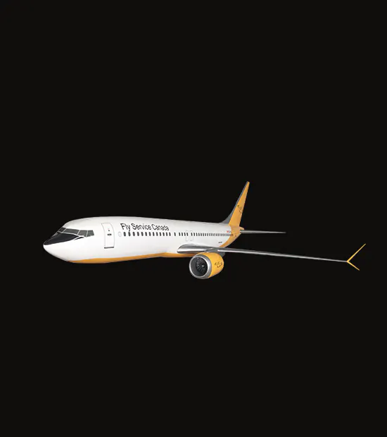 Boeing 737 MAX 9 Logo Baskılı Uçak Maketi