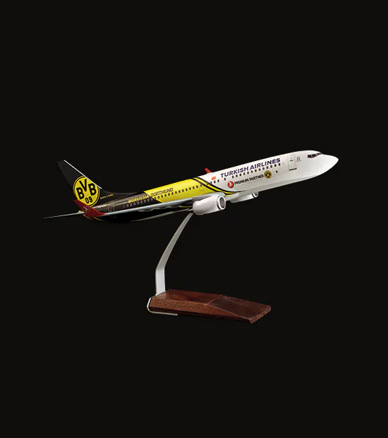 Boeing 737-800 Logo Baskılı Uçak Maketi