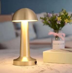 Dekoratif Led Masa Lambası 3 Renk Modlu