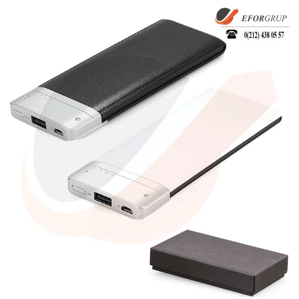 6000 mAh PowerBank 