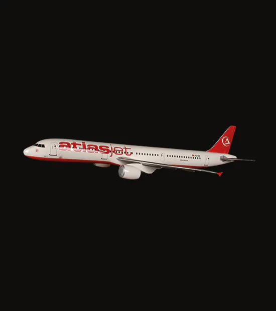 Airbus A321 CEO Logo Baskılı Uçak Maketi