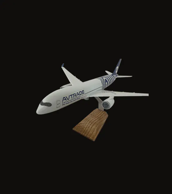 Airbus A350 Logo Baskılı Uçak Maketi