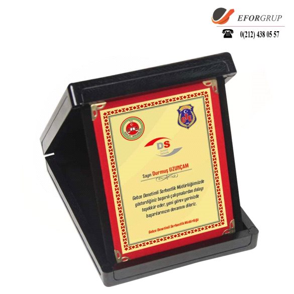 Baskılı Albüm Plaket