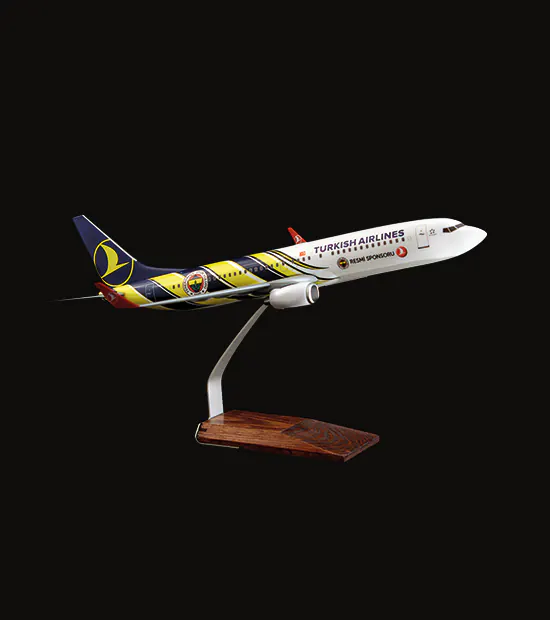 Boeing 737-800 Logo Baskılı Uçak Maketi