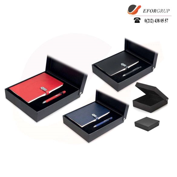 Kutulu VIP Set(Usb'li Ajanda+Tükenmez Kalem)