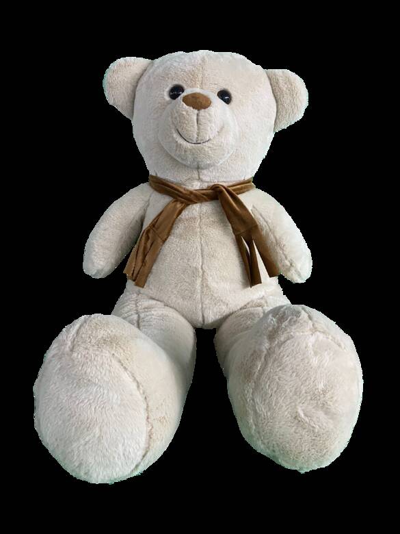 Oturan Papyonlu Ayıcık